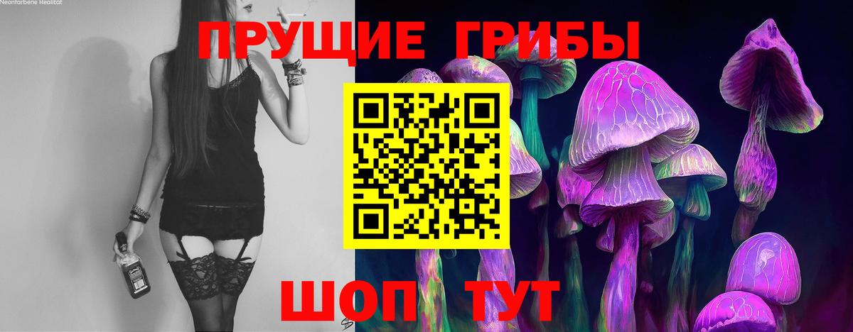 Ипатово  Галлюциногенные грибы мицелий  Вход с VPN 